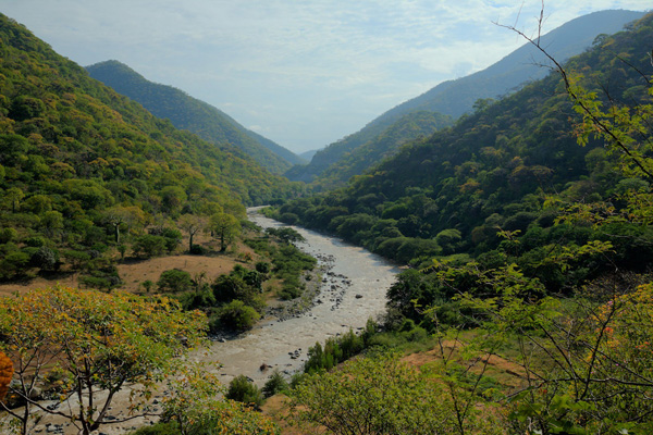Threatened tropical deciduous forest in the Tumbesian ecosystem of southeastern Ecuador – a view of NCI's Laipuna Reserve. Photo by Charles Smith.